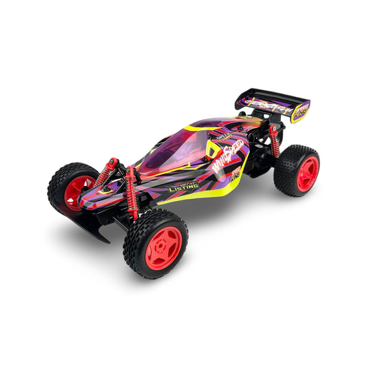 1:10 RC Wind Speed Buggy
