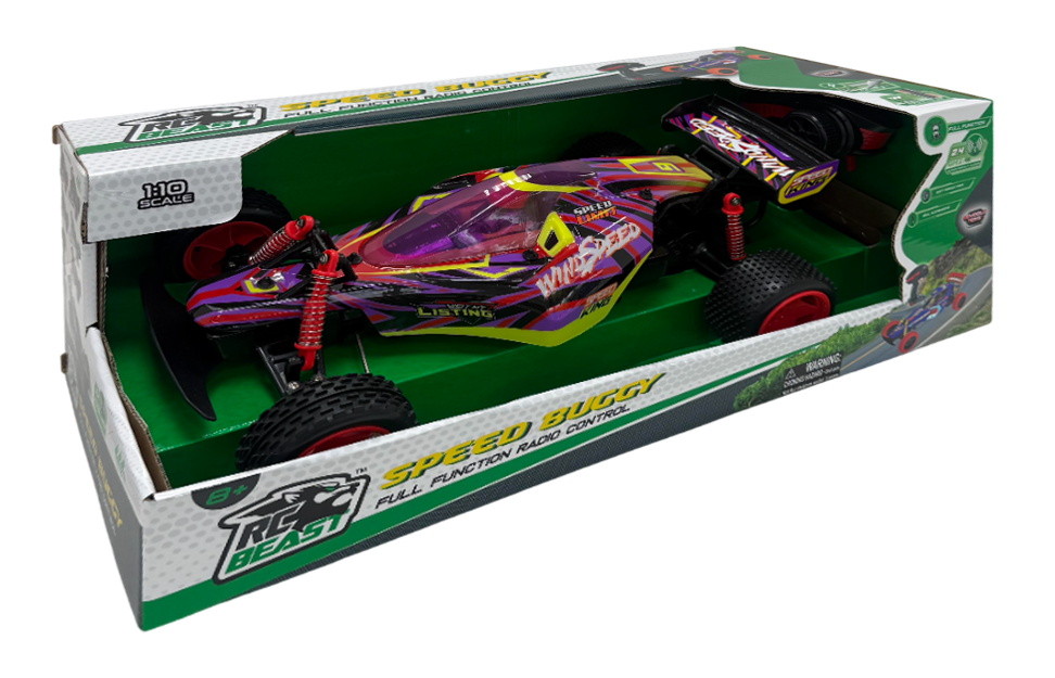 1:10 RC Hyper Rally Buggy