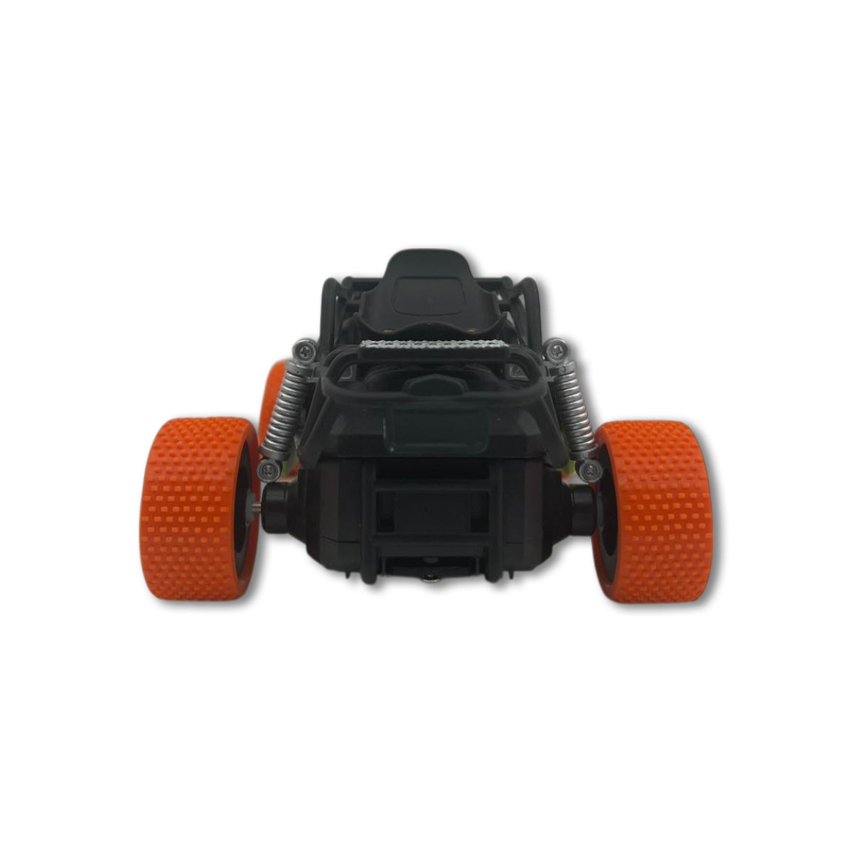 1:24 RC Mud Racer